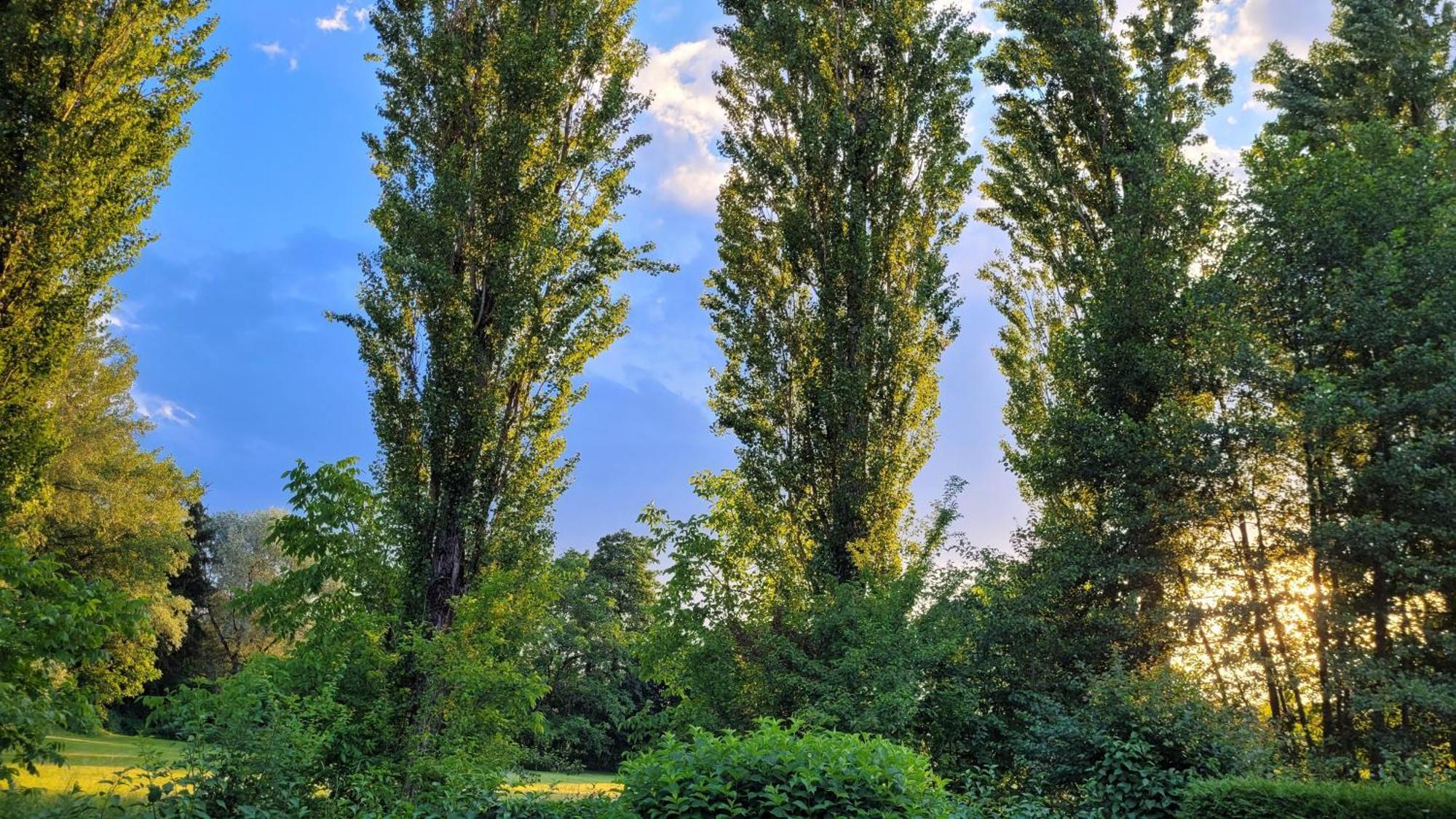 Villa Blu Sankt Kanzian am Klopeiner See Eksteriør billede